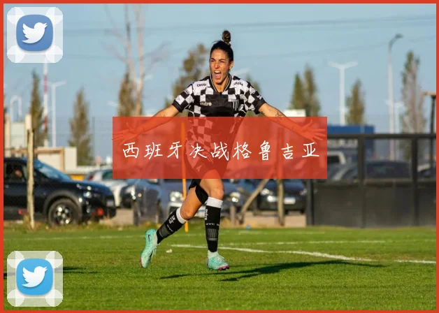 西班牙决战格鲁吉亚