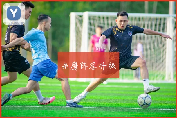 老鹰阵容升级