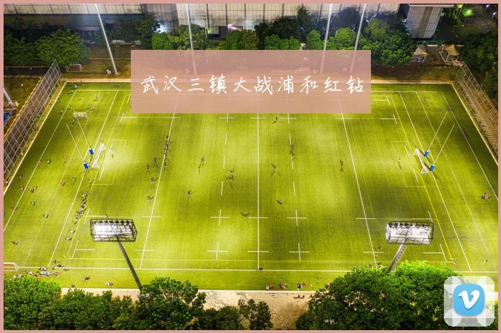 武汉三镇大战浦和红钻