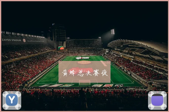 黄蜂总决赛夜