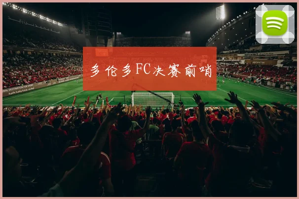 多伦多FC决赛前哨
