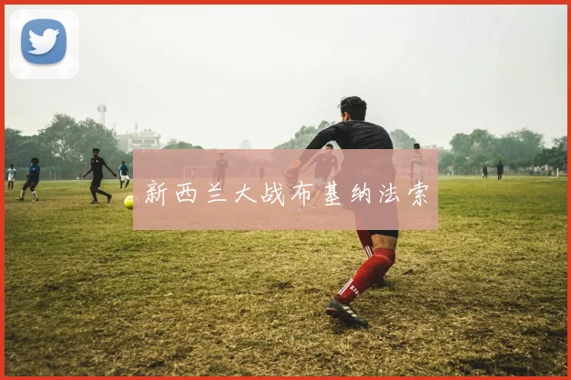 新西兰大战布基纳法索