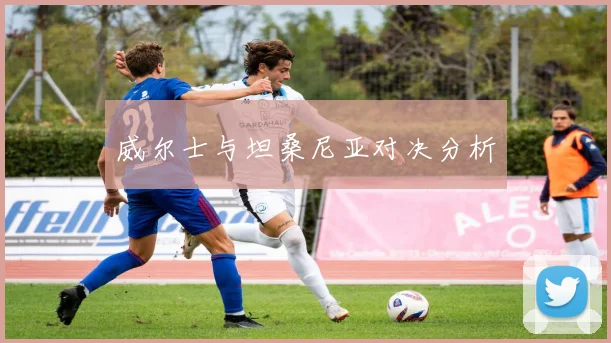 威尔士与坦桑尼亚对决分析