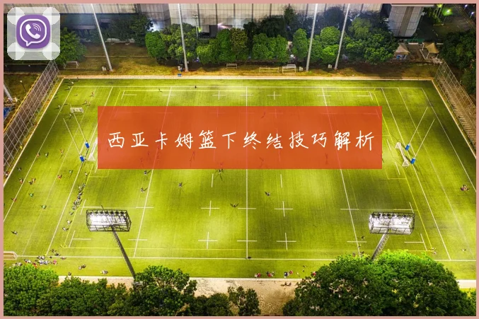 西亚卡姆篮下终结技巧解析