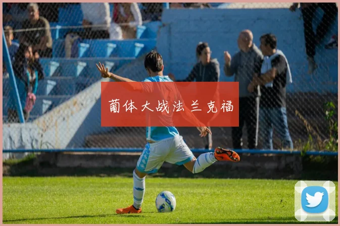 葡体大战法兰克福