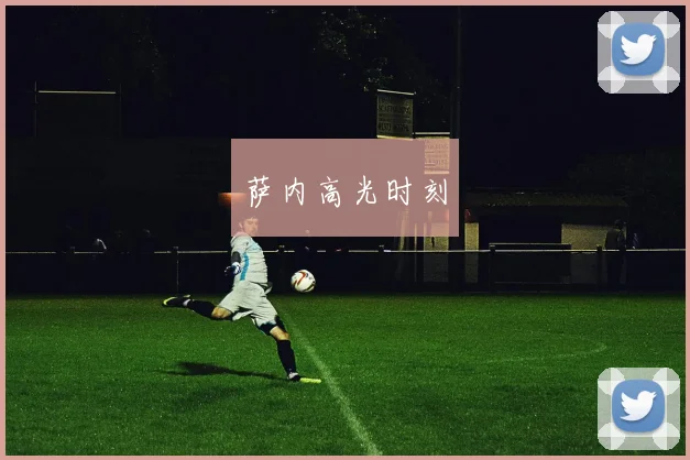 萨内高光时刻