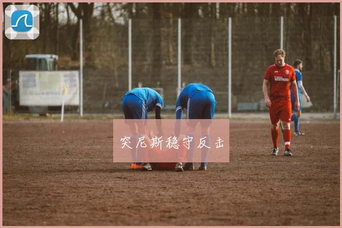 突尼斯稳守反击