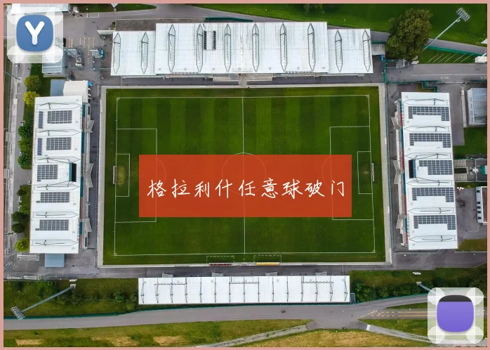 格拉利什任意球破门