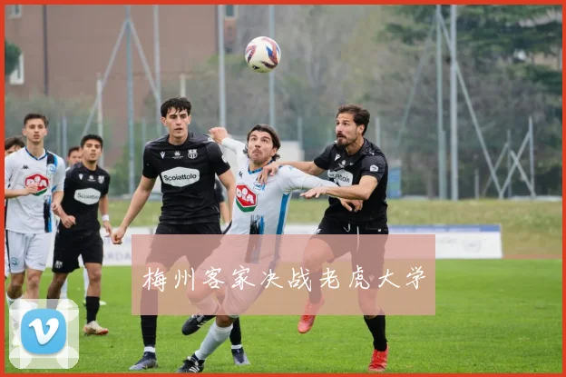 梅州客家决战老虎大学