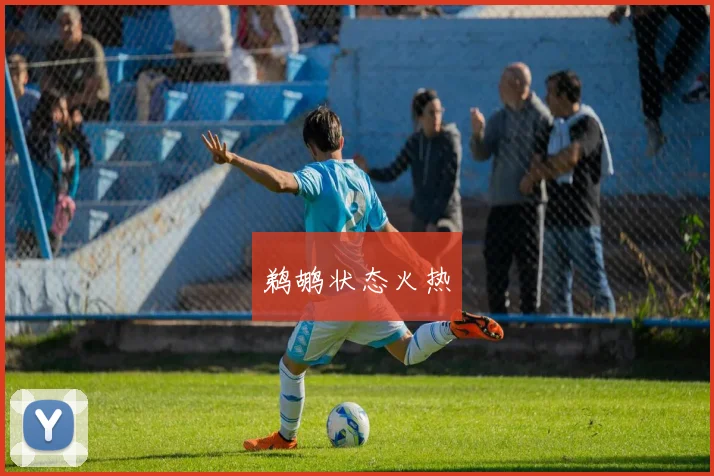 鹈鹕状态火热