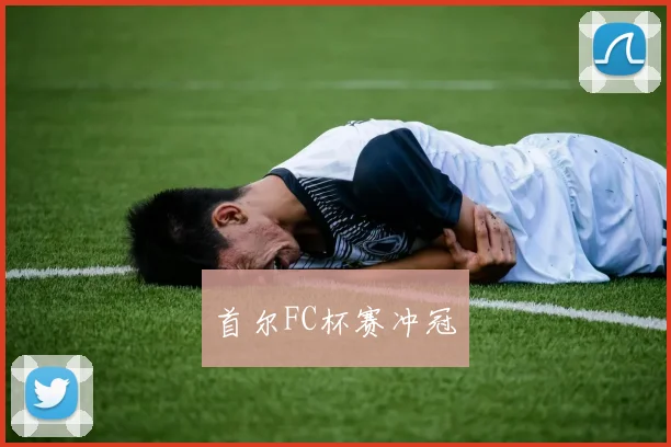 首尔FC杯赛冲冠