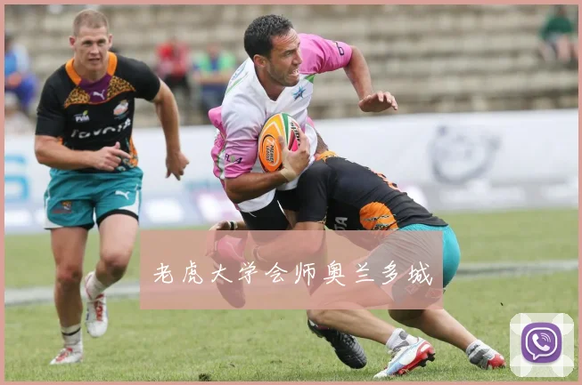 老虎大学会师奥兰多城
