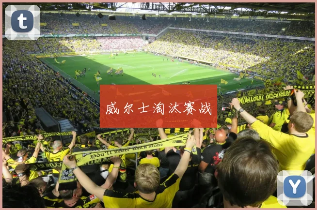 威尔士淘汰赛战