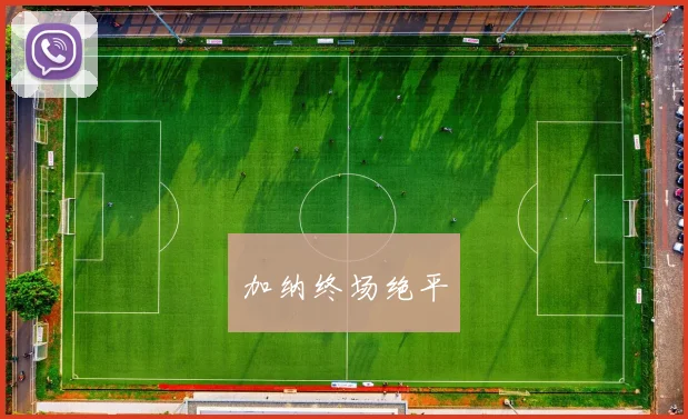 加纳终场绝平