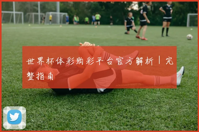 世界杯体彩购彩平台官方解析｜完整指南