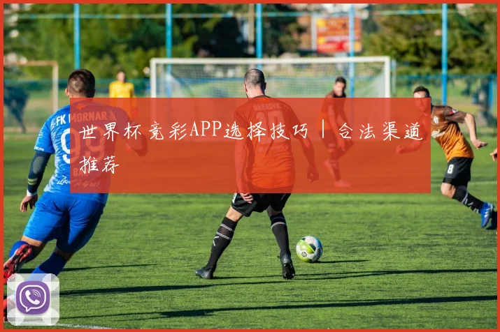 世界杯竞彩APP选择技巧｜合法渠道推荐