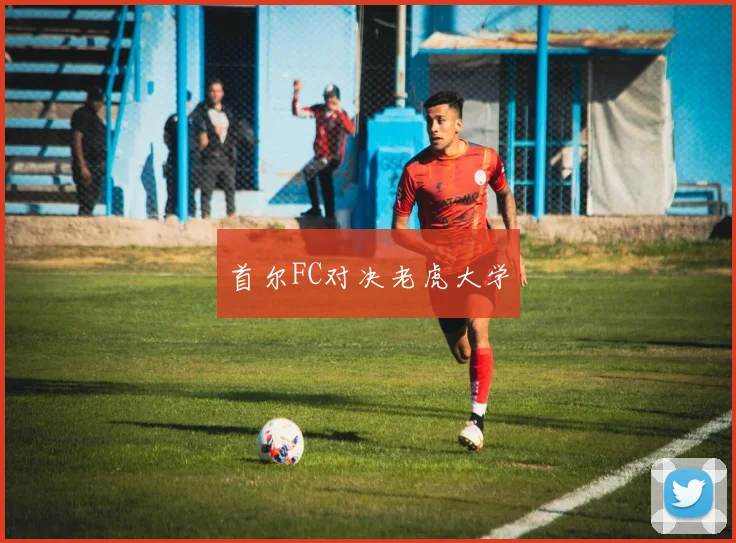 首尔FC对决老虎大学