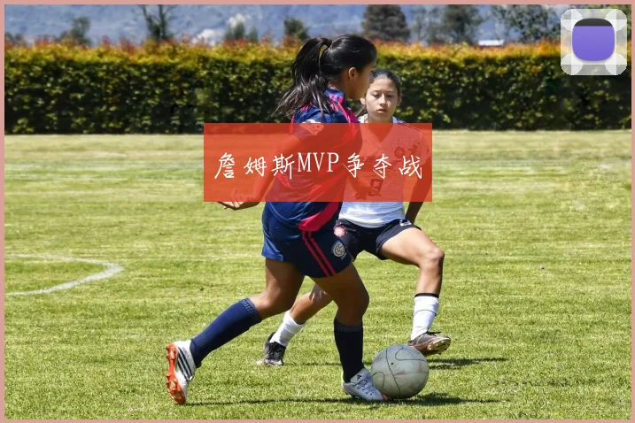 詹姆斯MVP争夺战