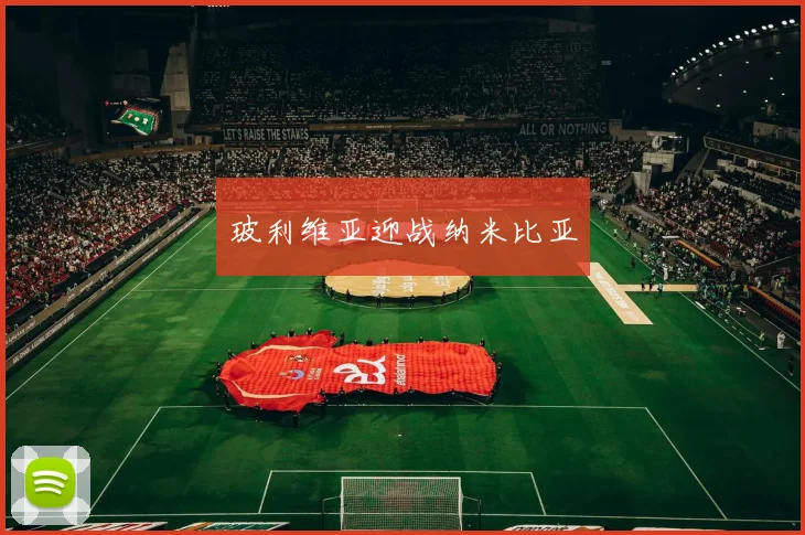 玻利维亚迎战纳米比亚