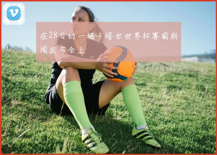 在28日的一场卡塔尔世界杯赛前新闻发布会上