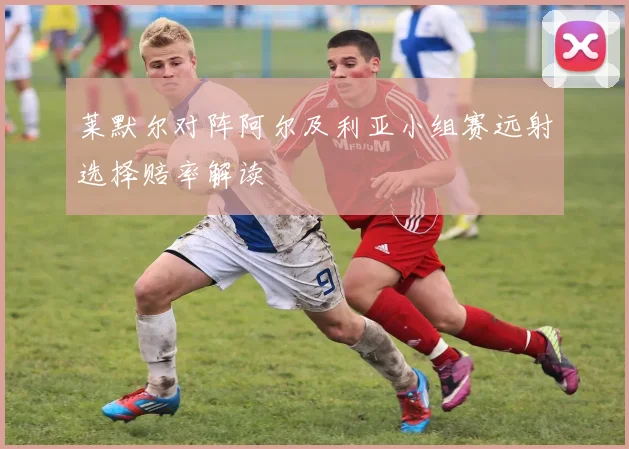 莱默尔对阵阿尔及利亚小组赛远射选择赔率解读