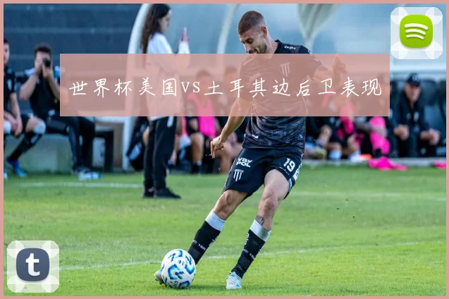 世界杯美国vs土耳其边后卫表现